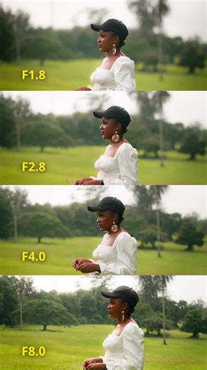 Exploring Depth of Field with Aperture Control