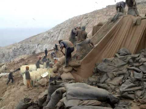 Guano de la Isla Extracción, por Edgar Rivera Del Piélago