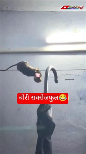 चोरी ऊपर से सीनाजोरी🤣 #funny #thetharpuns #comedy #hinarahulvlog #shorts #viral #trending