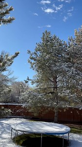 A little Spring Break Snow at my house. I could pass on the snow at this point point, but I’m happy for blue skies and birds chirping 🐦 ☀️ ❄️ | Heidi Hatch