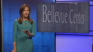 Residents Concerned Bellevue Mall Redevelopment Would Bring Traffic