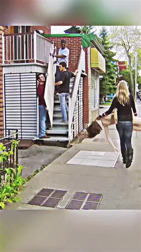 Exploring BalliBotMogis: The Future of AI Technology