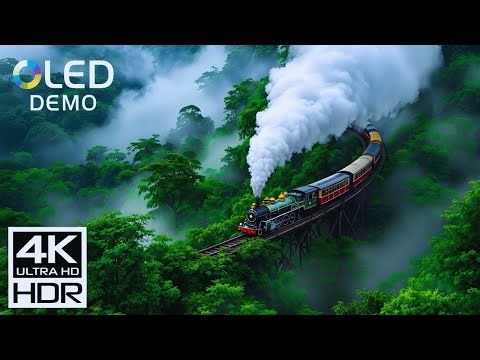 OLED Showcase Ultra Clarity 4K HDR 60fps Dolby Vision – Visuals Without Limits #4kclarity