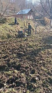 Benefits of Agriculture mechnization. Reduce cost of cultivation, save time, save money, minimise labour cost, high production, good quality of work, increase income etc. | Agriculture Activities