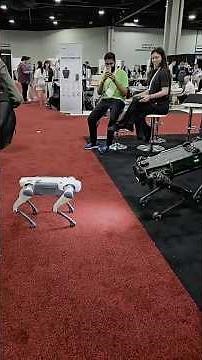 Inside Look: ICRA Robotics Conference