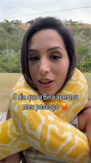 Beatriz Lopes on Instagram: "Vc acha que ela fez na maldade? 🤔 #animals #python #moluruspython #molurus #albina"