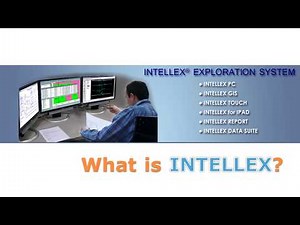 What is INTELLEX software