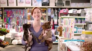 PenFed Power Cash Rewards VISA Card TV Spot, 'Everything'