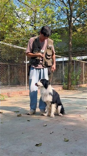 If a puppy comes to your home and the owner raises it to bite people, it's the owner's fault, no ...