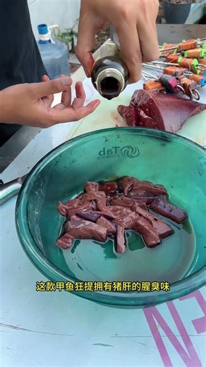 Boost Your Turtle Catch: Secret Additive Unveiled! Fishing for soft-shelled turtles, Turtl