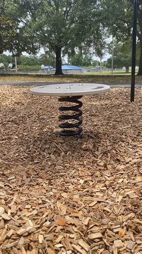 Wobble Board Pistol Squat 🔫 | Al Kavadlo