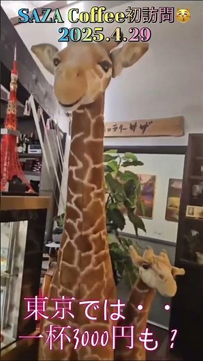 初！Saza☕️コーヒー訪問 東京では一杯3000円以上ですが・・最高のカフェでした🍰☕️#サザコーヒー#sazaCoffee#ひたちなか市#カフェ #バディスタ