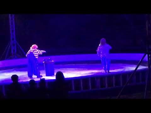 Garden Bros Circus Clowns 10/24/18