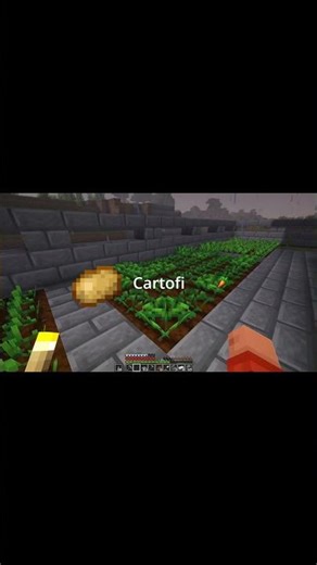 O FERMA mica dar BUNA #minecraft #gaming