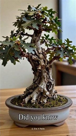 Miniature Bonsai Wonders You Won't Believe