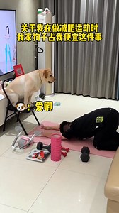 Pretend to drop the snacks on the ground and see the dog's reaction. #cat #dogs #doglife #puppy #doglovers #puppylove #dog #pets #love #doglover #puppies #cute #pet | Annie