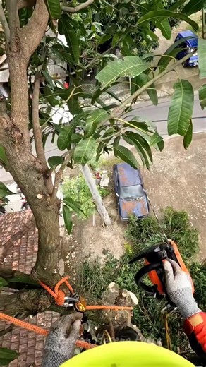 Os vídeos de genios.investem (@geneos.investem) com som original - genios.investem