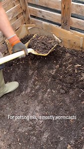 Garden compost made last autumn and turned into this bay in January has been nicely colonized by worms, Eisenia fetida small red worms which eat organic matter, and this is their excretions. It would be amazing to use as a mulch on beds, and in that case, I would not sieve it. Or after sieving it’s superb for potting, which we are trialling with 30% coir to lighten it because it can be too dense in pots and module cells. #wormcastings hi | Charles Dowding No Dig Gardening