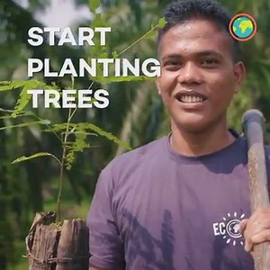 5 reasons to use Ecosia instead of Google | Ecosia