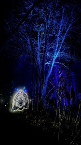 31 reactions · 5 comments | Don’t miss out on this nighttime experience, like no other at the Columbus Zoo and Aquarium! Immerse yourself in a colorful, interactive experience like no other. You may have heard the good news already, but @unextinctlive is now extended at the @columbuszoo through May 26! Since it’s best seen in the dark, the festivities are now kicking off at 8PM. So, what can you do if you arrive before the sun goes down? | Destination Delaware County Ohio | Facebook