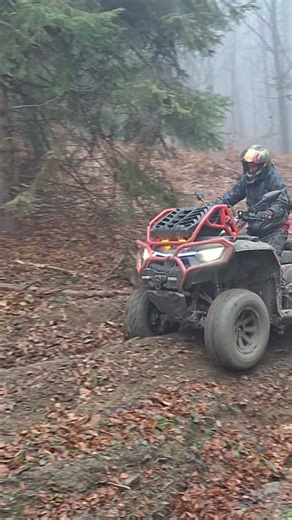 cf moto x10 mud