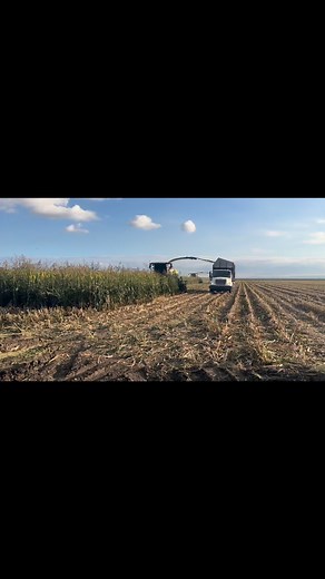 8.4K views · 159 reactions | Claas  #silage #claas | Cali Farmer | Facebook