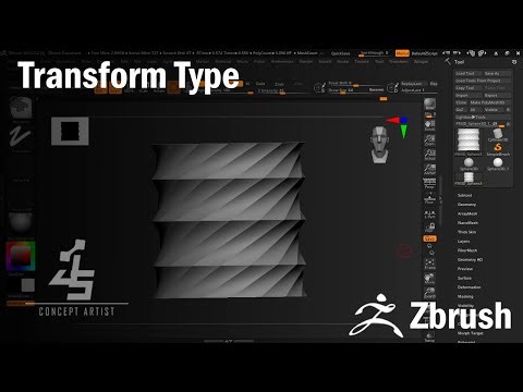 Tutorial Zbrush - Transform Type