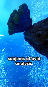 Dive into 'Ocean's Enigma: Decoding Mysterious Underwater Sounds,' a deep exploration into the enigmatic world of sounds captured by underwater microphones across the globe's oceans. From the infamous 'Bloop' to the haunting 'Julia,' these unexplained noises have puzzled scientists and sparked the imagination of many. This journey delves into the intriguing possibilities behind these sounds, ranging from colossal underwater creatures to shifting continental plates and hidden underwater volcanoes
