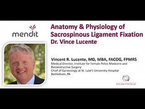 Anatomical Considerations in Sacrospinous Ligament Fixation, Dr. Vince Lucente