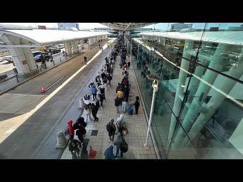 "Tienen que hacer algo". El Congreso descansa y sigue el caos en aeropuertos | Noticias Telemundo