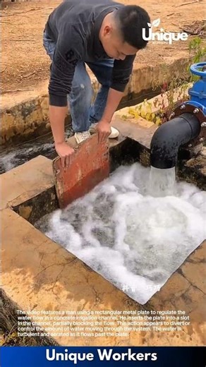 Controlling Irrigation Water Flow: Man Uses Metal Plate in Concrete Channel