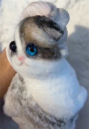 The kitten was all twisted up like a pretzel.#squishy #cat #diy #handmade #cute #custom