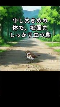 ツグミの物語｜立ち止まる道 #野鳥 #雑学 #鳥 #自然 #動物