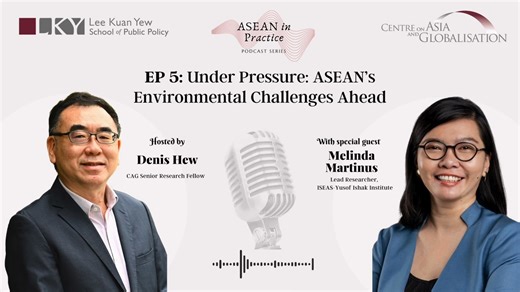The ASEAN region is facing mounting environmental challenges, from...