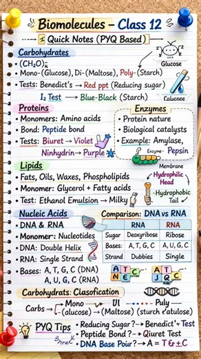“Biomolecules in 15 seconds – Full marks guaranteed!” 💯🧬 | 12th Board Boosting Notes| JEE NEET Notes