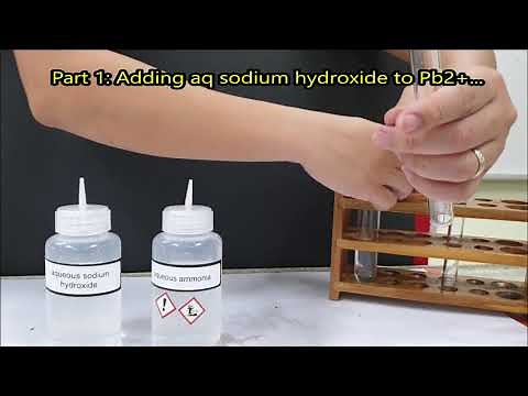 QA Lab Practical - Test for Cations - Lead(II) ion, Pb2+ with aq NaOH and aq ammonia