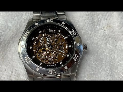 Wristwatch Wednesday - My Armitron Automatic Watch TY2807SV