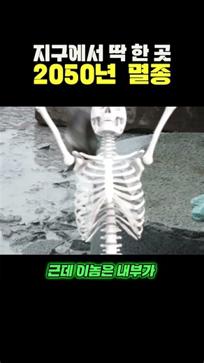 지구에서 딱 한곳 2050년 멸종