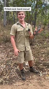 Rescuing a frilled-neck lizard off the track! You never know what you might find in Queensland’s remote Cape York bushland here on the Steve Irwin Wildlife Reserve! | Rabert lrwin