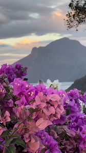 9.5K views · 519 reactions | Congratulations to our beautiful #russelmay bride, Princess!  #2024 | Russel May Atelier | Facebook