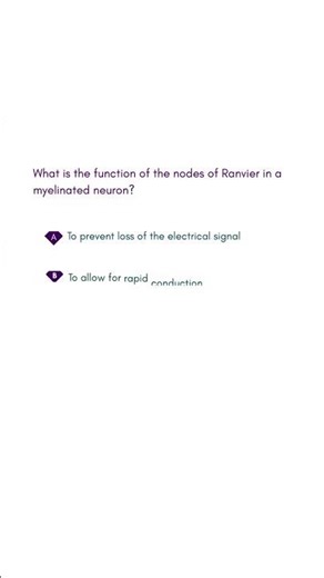 What is the function of the nodes of Ranvier in a myelinated neuron #medicalexamguide