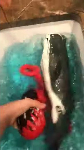 Sperm whale vs giant squid