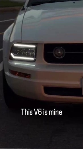 Introducing the Mustang!