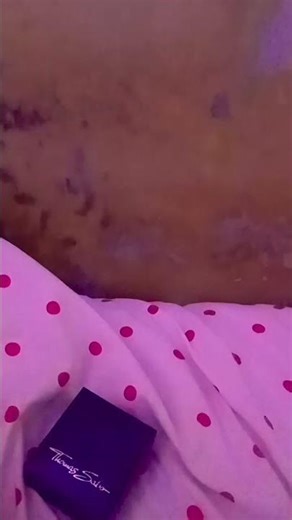 It's been a year since I returned to this city