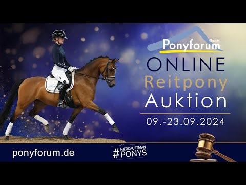 Number Five Wallach 2021 v. FS Numero Uno NRW / FS Champion de Luxe