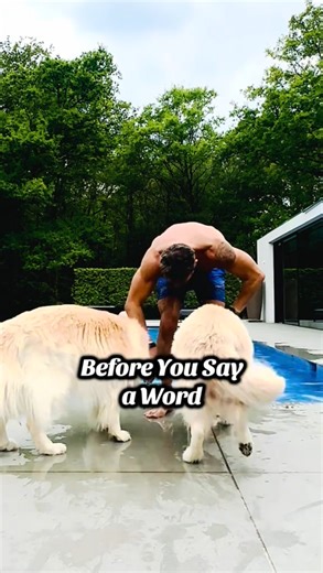 The power of fitness in making a strong first impression