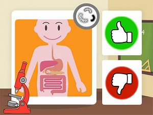 Vocabulary: Human Body