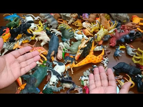 200+ Animal collection | Farm animals | Safari Wild Zoo Animal Toy collection