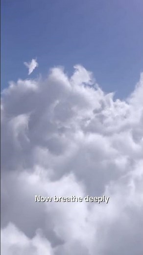 A Guided Morning Meditation 🧘