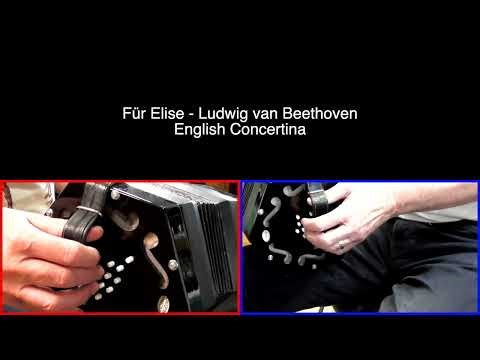 Für Elise - English Concertina Performance Video